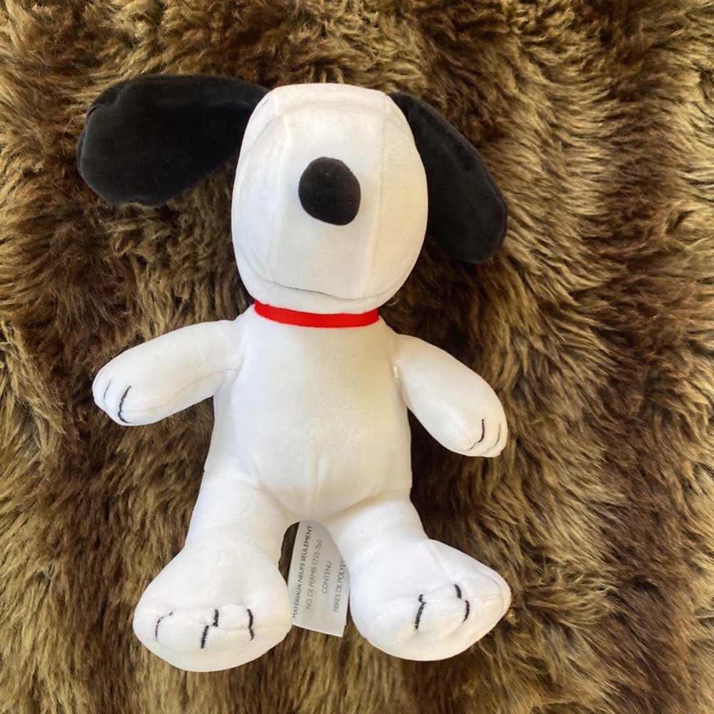 Peanuts - Picture 2 of 11